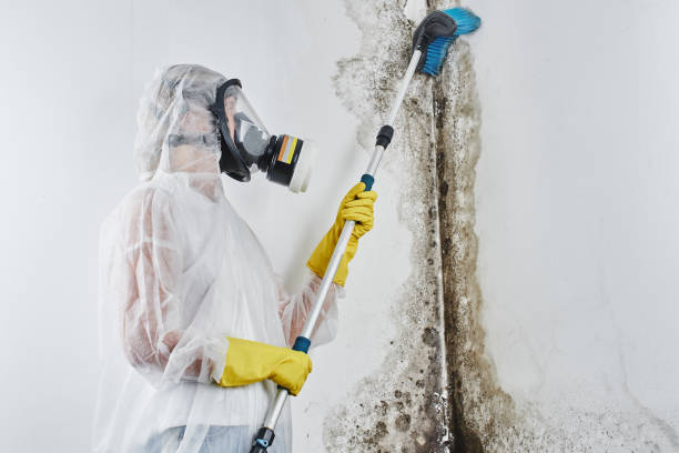 Best Mold Testing  in Westport, WA
