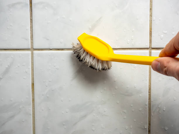 Office Mold Removal Services in Westport, WA