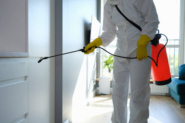 Best Mold Cleaning Services  in Westport, WA